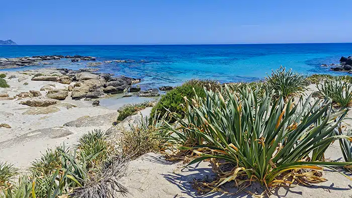 Elafonsi-beach.-kréta-krétakalauz-16