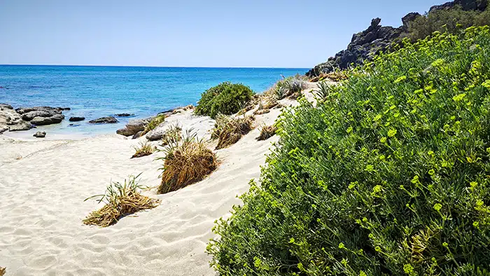 Elafonsi-beach.-kréta-krétakalauz-25