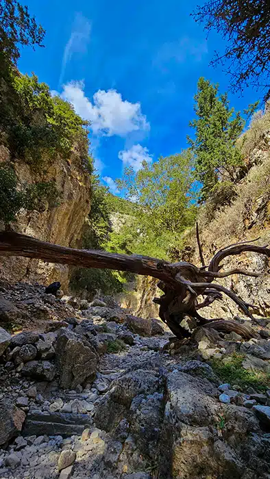 imbros 11 kréta krétakalauz