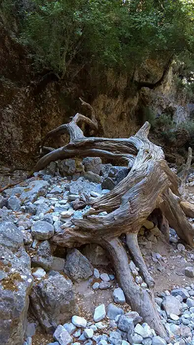 imbrosz szurdok kréta 7