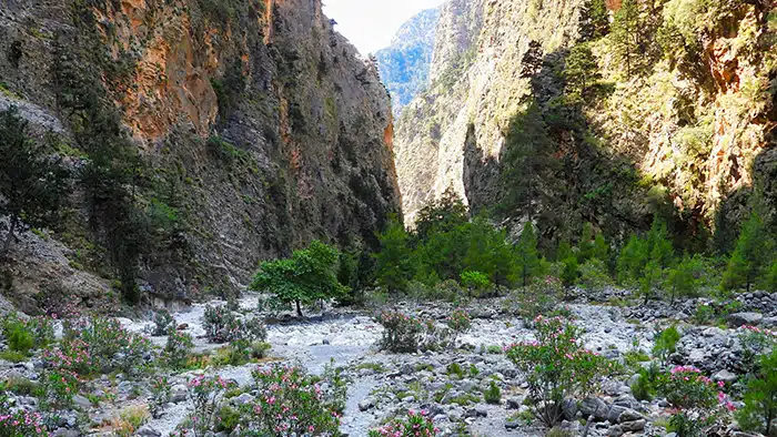 samaria-kréta-krétakalauz-18